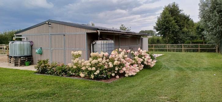 Luxe paardenstallen met paddocks, weides en buitenpiste, Dieren en Toebehoren, Stalling en Weidegang, Stalling, Weidegang, 2 of 3 paarden of pony's