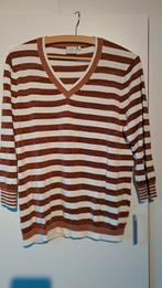 Dames truien, Kleding | Dames, Truien en Vesten, ANDERE, Overige kleuren, Maat 42/44 (L), Ophalen of Verzenden