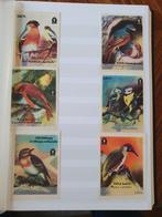 Etiketten luciferdoosjes, Hongarije, merk Steged, Vogels, Ophalen of Verzenden, Zo goed als nieuw