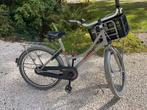Alpina cargo 22 inch transportfiets meisje, Fietsen en Brommers, Ophalen, Zo goed als nieuw, 22 inch, Handrem