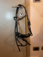 Hoofdstel Pony Premiere, Dieren en Toebehoren, Ophalen of Verzenden, Nieuw