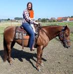 quarter merrie 2011, Dieren en Toebehoren, Paarden, Merrie, Minder dan 160 cm, Gechipt, Zadelmak