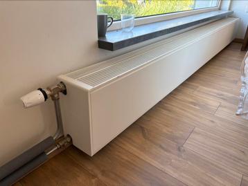 Vasco Flatline 30x300cm T33 beschikbaar voor biedingen