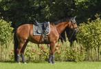 Equestrian Stockholm sett full dressuur, Dieren en Toebehoren, Paarden en Pony's | Dekens en Dekjes, Verzenden