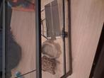 Terrarium, Dieren en Toebehoren, Ophalen, Zo goed als nieuw, Terrarium of Paludarium