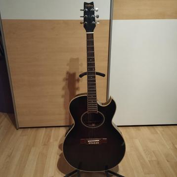 Washburn EA20 MB Electro/acoustic gitaar beschikbaar voor biedingen