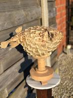 Taxidermie oude vis egelvis, Ophalen of Verzenden