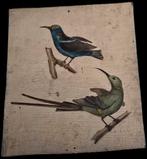 Franck House in Antwerpen, Antiek en Kunst, Ophalen of Verzenden