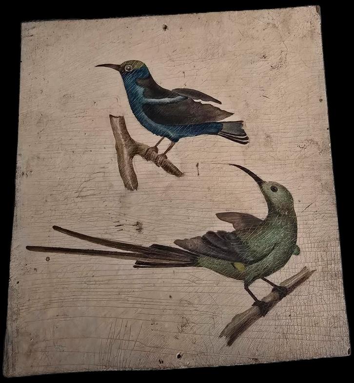 Franck House in Antwerpen, Antiek en Kunst, Kunst | Overige Kunst, Ophalen of Verzenden