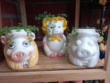 beeldjes met krulhaar plantje beschikbaar voor biedingen
