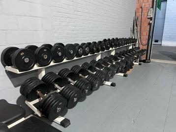Dumbbellset + racks Panatta, Enlèvement, Utilisé, Haltère