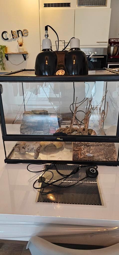 Terrarium, Dieren en Toebehoren, Reptielen en Amfibieën | Toebehoren