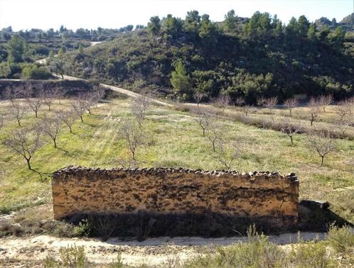 Finca in Maella (Aragon, Spanje) - 0777, Immo, Buitenland, Spanje, Overige soorten, Landelijk