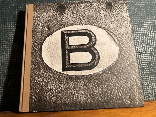 LIVRE BELGE STEPHAN VAN FLETEREN DAVID REYBROUCK, Livres, Art & Culture | Photographie & Design, Comme neuf, Photographes, Enlèvement ou Envoi