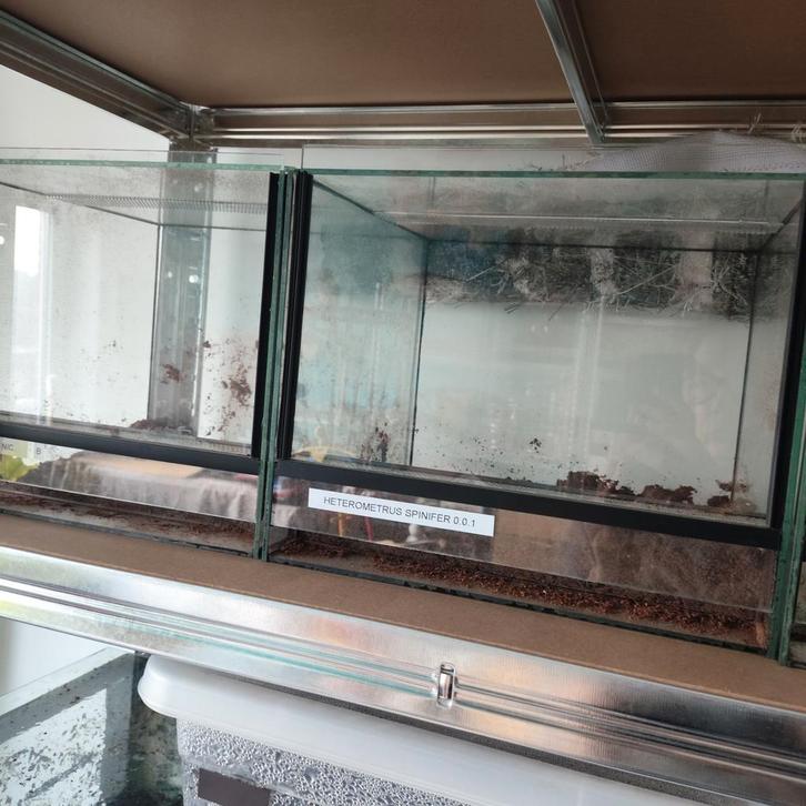 Diverse terraria , zie omschrijving, Animaux & Accessoires, Reptiles & Amphibiens | Accessoires, Enlèvement