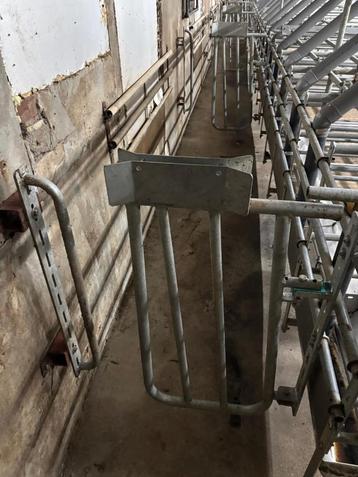 Berenpoortjes [746]  beschikbaar voor biedingen