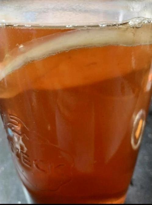 scoby om zelf combucha te maken + uitleg + startersvloeistof, Diversen, Levensmiddelen, Ophalen