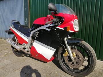 Suzuki GSXR 750 Slabby 1985 GR75A GSX-R750  beschikbaar voor biedingen