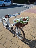 kinderfiets Alpina cargo, Ophalen, Gebruikt