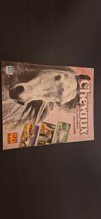 Panini chevaux une aventure incroyable, Collections, Enlèvement ou Envoi