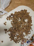 5kg noten 15eu, Diversen, Levensmiddelen, Ophalen of Verzenden