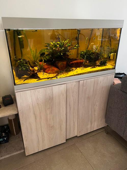 EHEIM 200L + Co2 installatie en toebehoren, Dieren en Toebehoren, Vissen | Aquaria en Toebehoren, Zo goed als nieuw, Ophalen