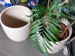 Plantenbakken, Tuin en Terras, Ophalen, Rond, Steen