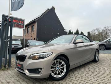 Bmw 218i Cabriolet 2015 105dkm navi leder automaat 1ste eig beschikbaar voor biedingen