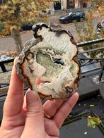 Bosagaat slab, Verzamelen, Ophalen of Verzenden