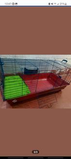Grande cage pour rongeur, Animaux & Accessoires, Enlèvement, Comme neuf, Cage, Lapin