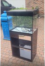 Aquarium Askoll 89 litres, Dieren en Toebehoren, Ophalen, Gebruikt