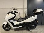 Honda Forza 300, Motos, 1 cylindre, 12 à 35 kW, Scooter, 300 cm³