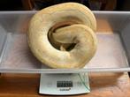 Vrouw lesser clown het albino 1400 gram, Dieren en Toebehoren