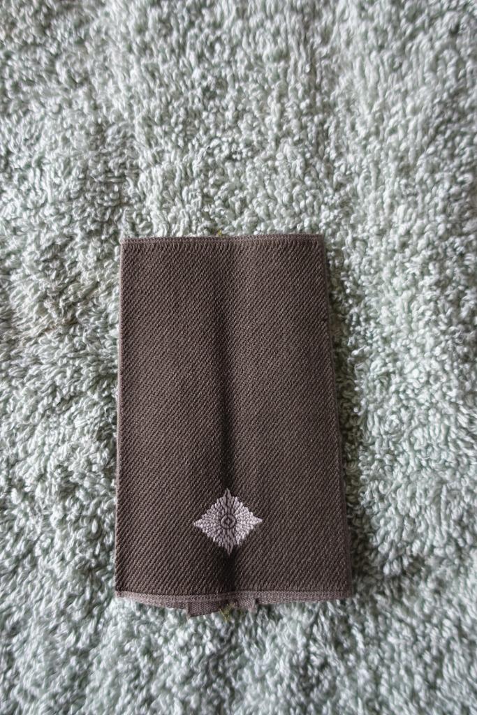 BW #10 - LEUTNANT (1 ex), Verzamelen, Militaria | Algemeen, Landmacht, Embleem of Badge, Ophalen of Verzenden