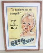Reclame Affiche Odol Tandpasta / Ingekaderd / Achter Glas, Verzamelen, Ophalen of Verzenden, Zo goed als nieuw, Reclamebord