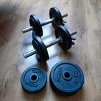 Dumbbells 26 kg, Sport en Fitness, Fitnessmaterialen, Ophalen, Gebruikt, Benen, Halterset