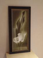 Kader, Ophalen, Minder dan 50 cm, 50 tot 75 cm, Zo goed als nieuw