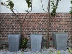 Betonnen potten voor planten, Tuin en Terras, Ophalen, Gebruikt, Minder dan 60 cm, Overige vormen