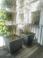 Bac à fleurs design à donner. À récupérer sur place., Tuin en Terras, Ophalen, Zo goed als nieuw