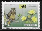 Uilen - Afgestempeld - Lot nr. 103 - Polen, Animal et Nature, Affranchi, Envoi