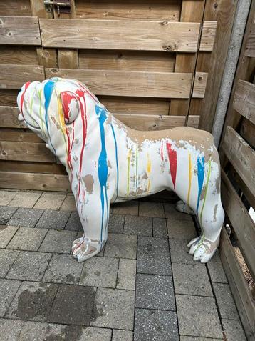 Te restaureren hond beschikbaar voor biedingen