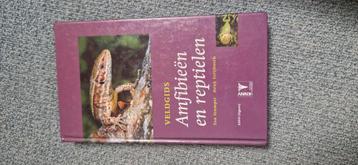 Henk Strijbosch - Veldgids Amfibieen en reptielen beschikbaar voor biedingen