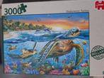 Puzzel Jumbo 3000 stukjes 10 euro, Ophalen