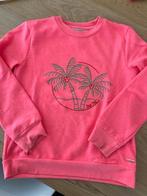 Blue Bay trui roze 8 jaar NIEUW, Kinderen en Baby's, Kinderkleding | Maat 128, Nieuw, Meisje, Blue Bay, Trui of Vest