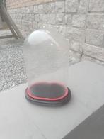 Glazen stolp op houten voet / totale hoogte: 33 cm, Antiek en Kunst, Ophalen