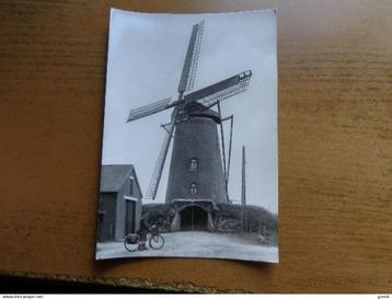 Postkaart St Huibrechts Lille, windmolen