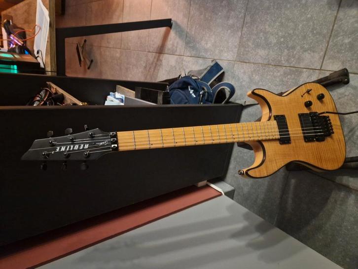 Godin met Floyed Rose, Musique & Instruments, Instruments à corde | Guitares | Basses, Utilisé, Enlèvement