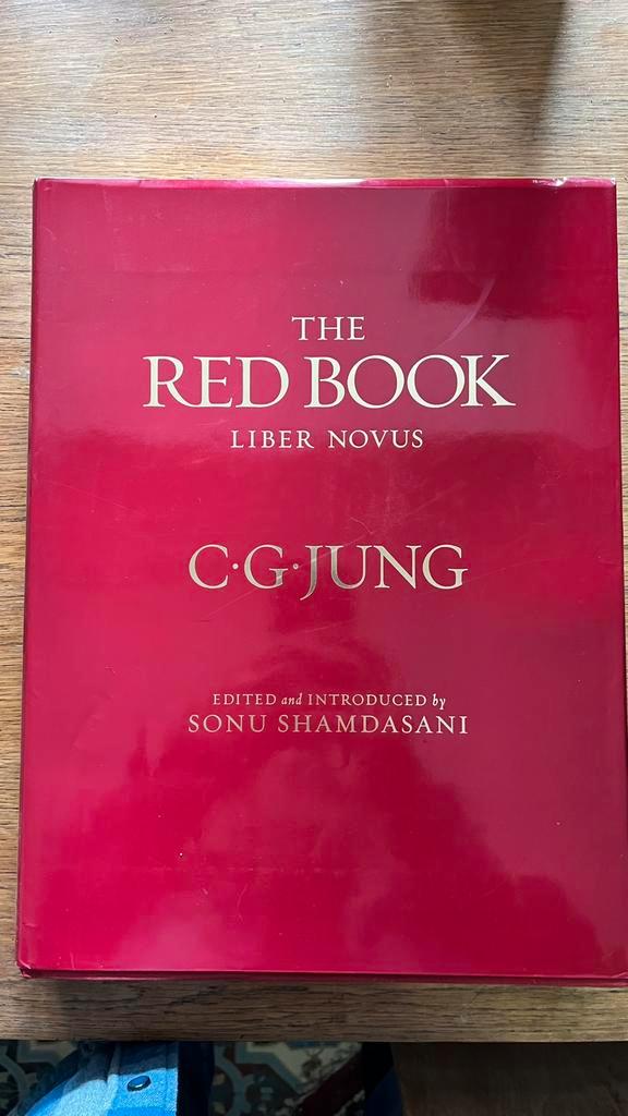 Red Book : Liber Novus (Couverture rigide) Jung, Boeken, Kunst en Cultuur | Fotografie en Design, Zo goed als nieuw, Ophalen