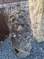 Vieux lutin en ciment 55 cm 40€, Enlèvement