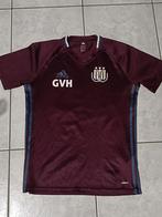 T-shirt staff RSC Anderlecht medium